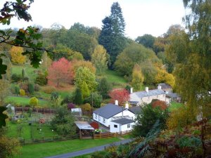 Green Bottom autumn 1